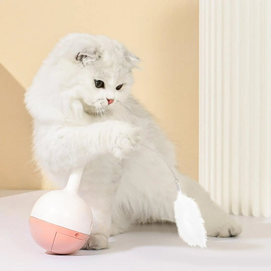 Indoor Cat Teaser Toy
