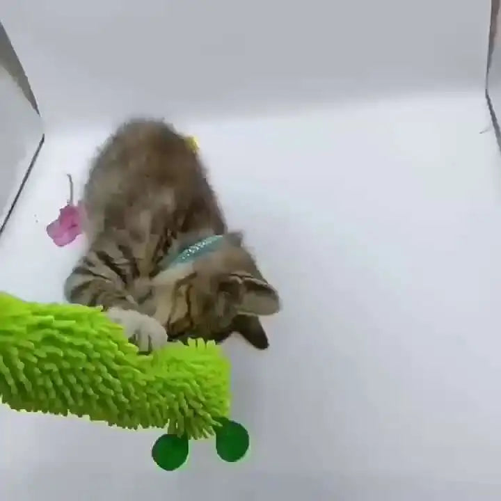Cat Chew Toys Caterpillar Catnip Molar Toy