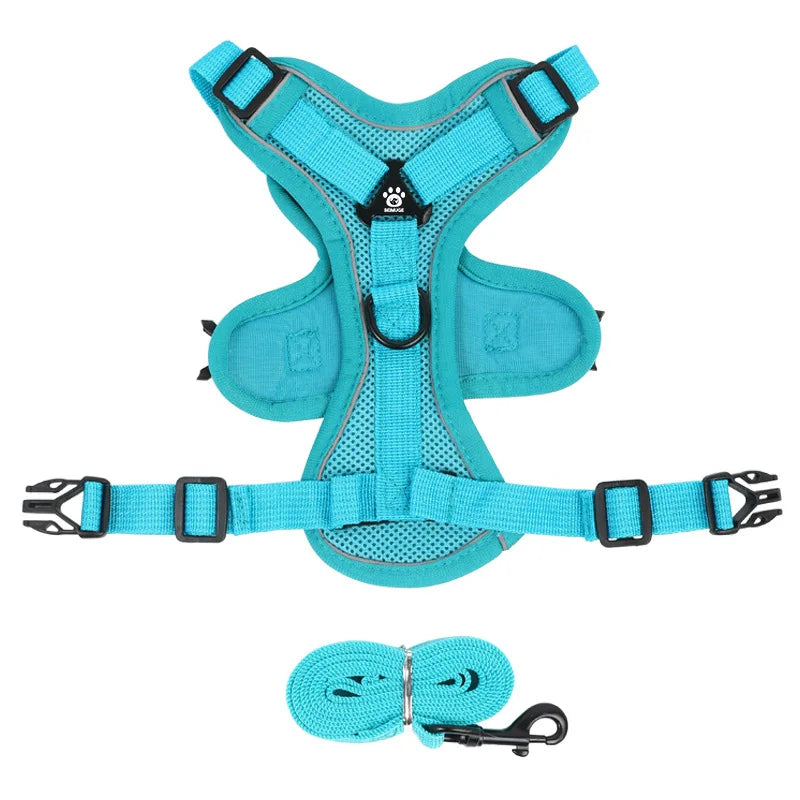 Cat Harness and Leash Set