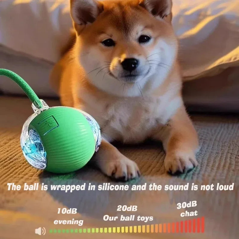 Automatic Rolling Dog Ball Rechargeable