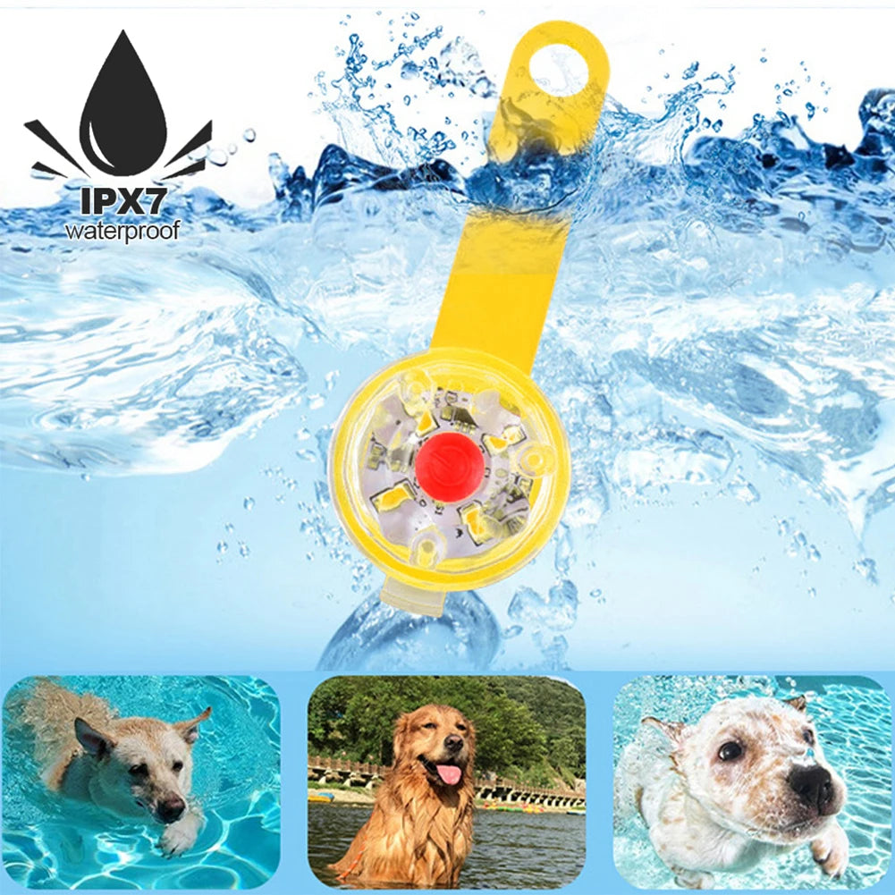 USB Rechargeable LED Light Dogs Collars