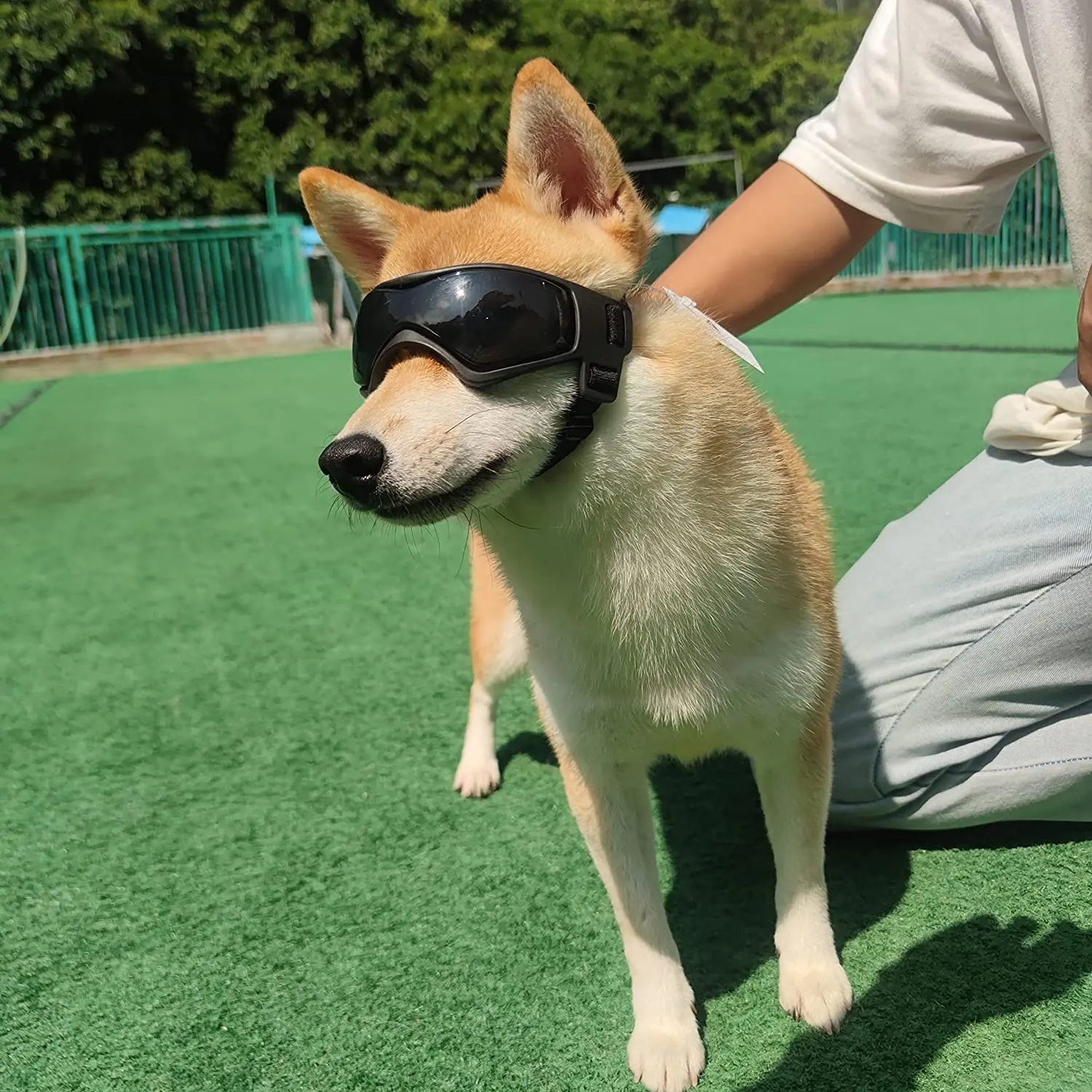 Dog Outdoor UV Protection Sunglasses