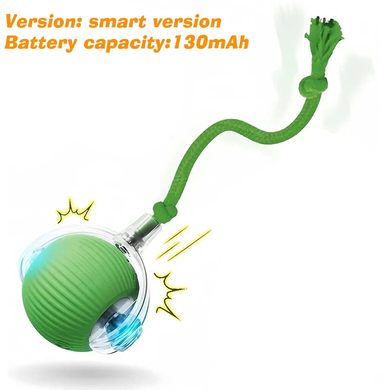 Automatic Rolling Dog Ball Rechargeable
