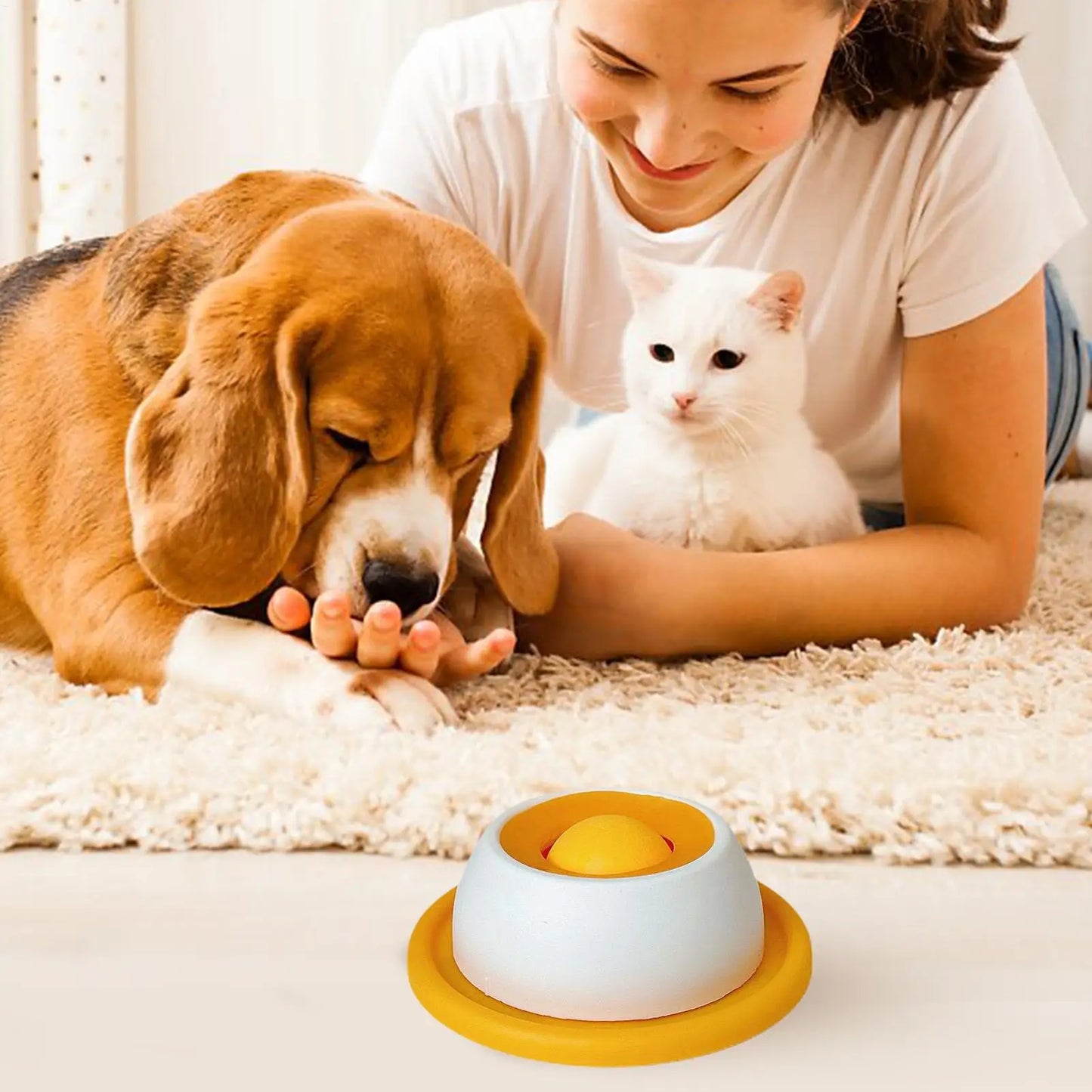 Dog Puzzle Treat Toy