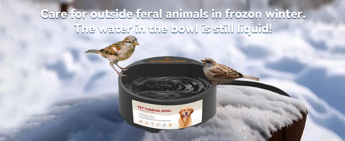 Outdoor Heated Water Bowl for Dogs Cats 2.2L Winter Heating