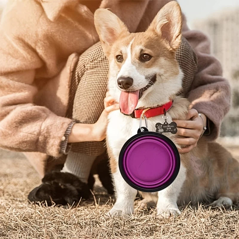 Collapsible Pet Bowl