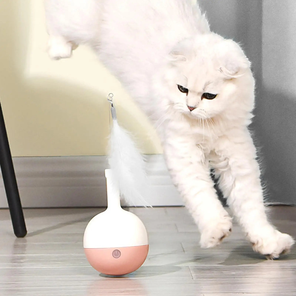 Indoor Cat Teaser Toy