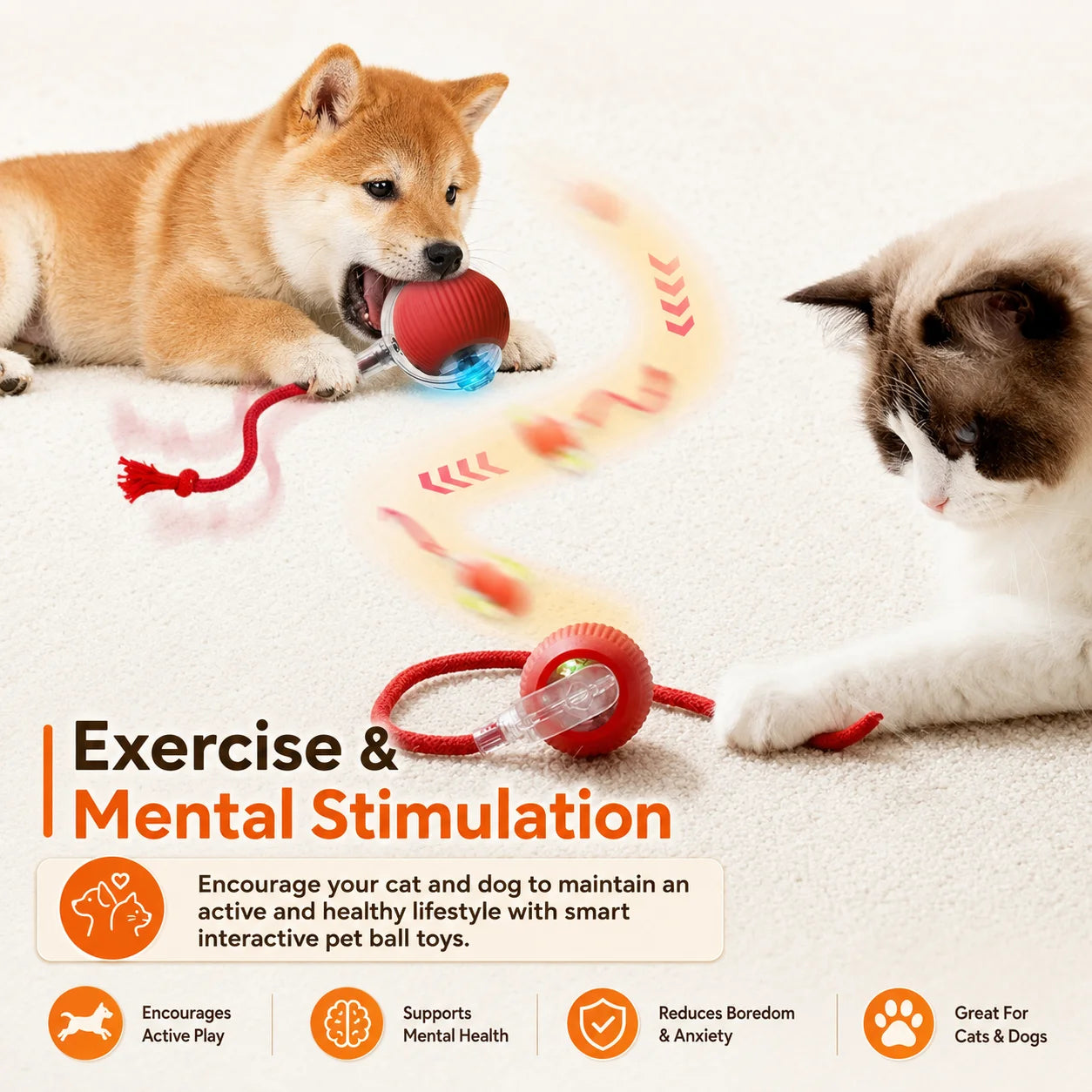 Automatic Rolling Dog Ball Rechargeable