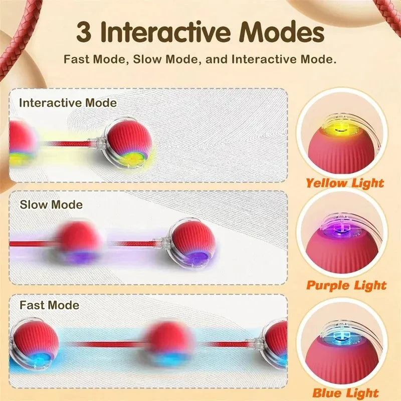 Automatic Rolling Dog Ball Rechargeable