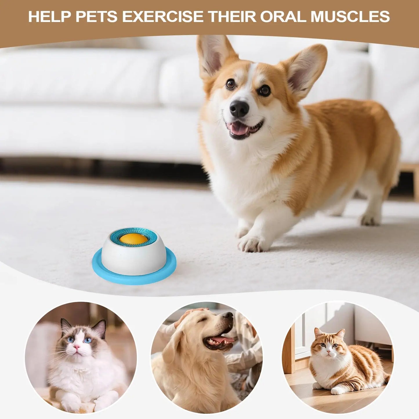 Dog Puzzle Treat Toy