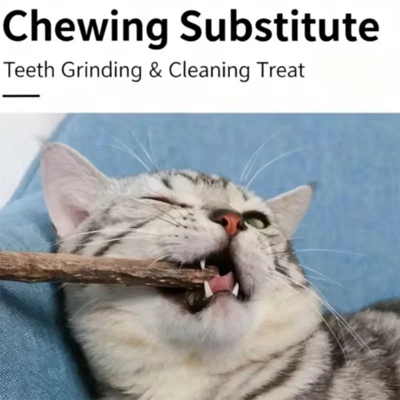 Natural Silvervine Sticks for Cats Teeth Cleaning
