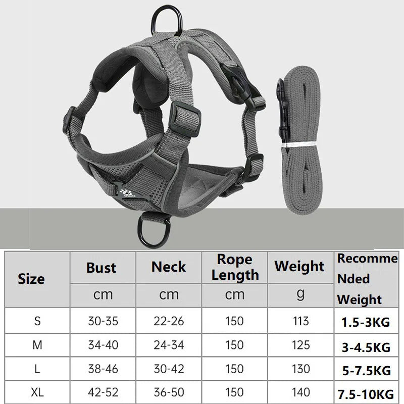 Cat Harness and Leash Set
