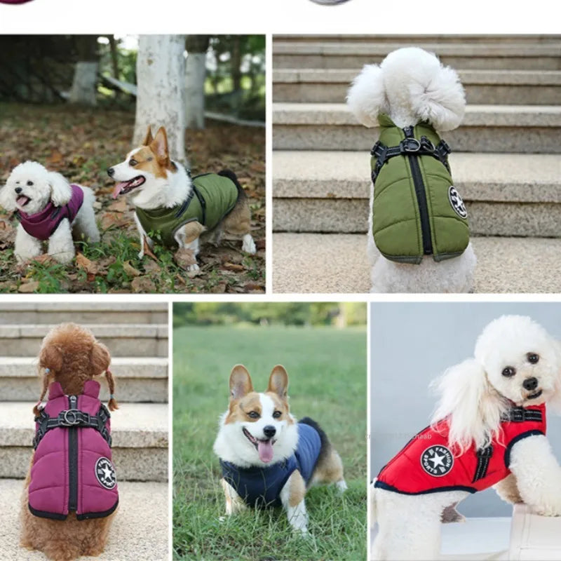 Winter Warm Pet Dog Jacket with Harness Waterproof