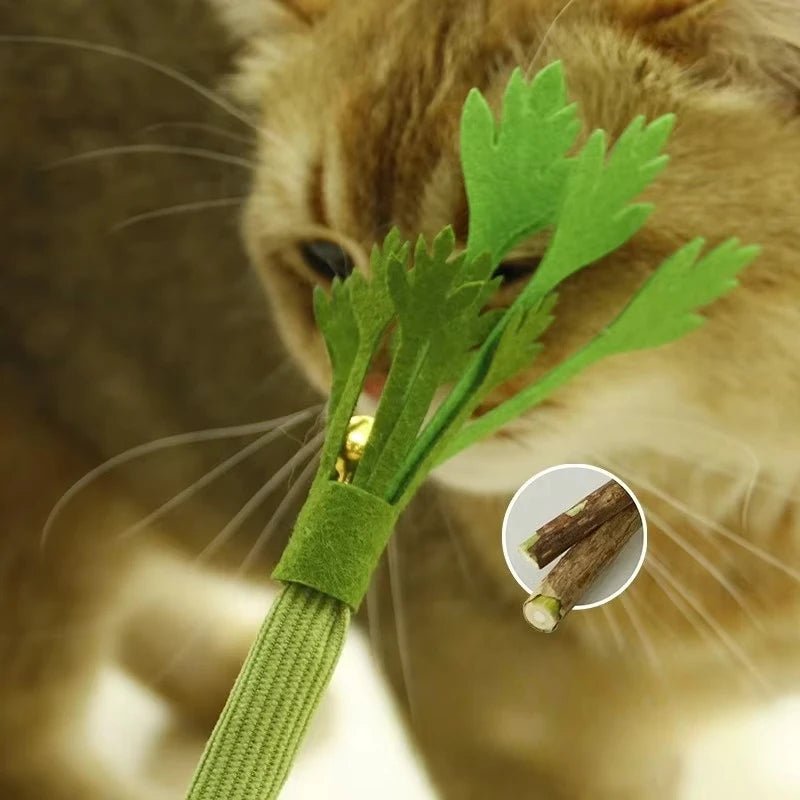 Cat Chew Toys Catnip