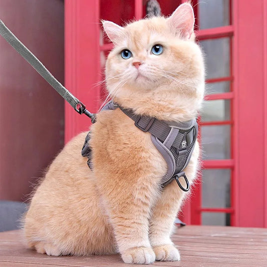 Cat Harness and Leash Set