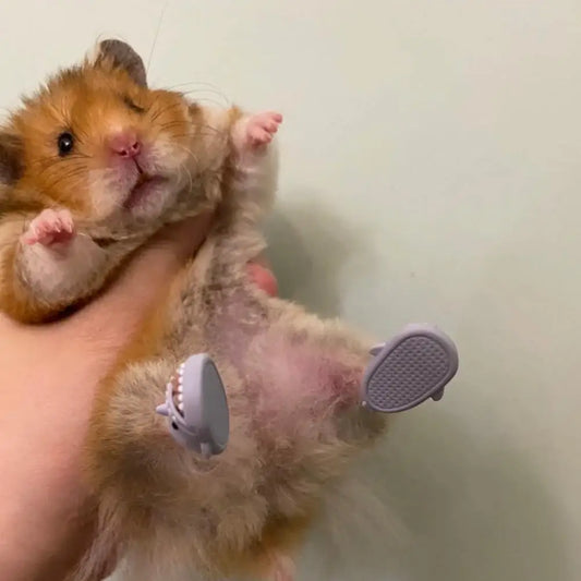 Hamster Mini Slipper Supplies