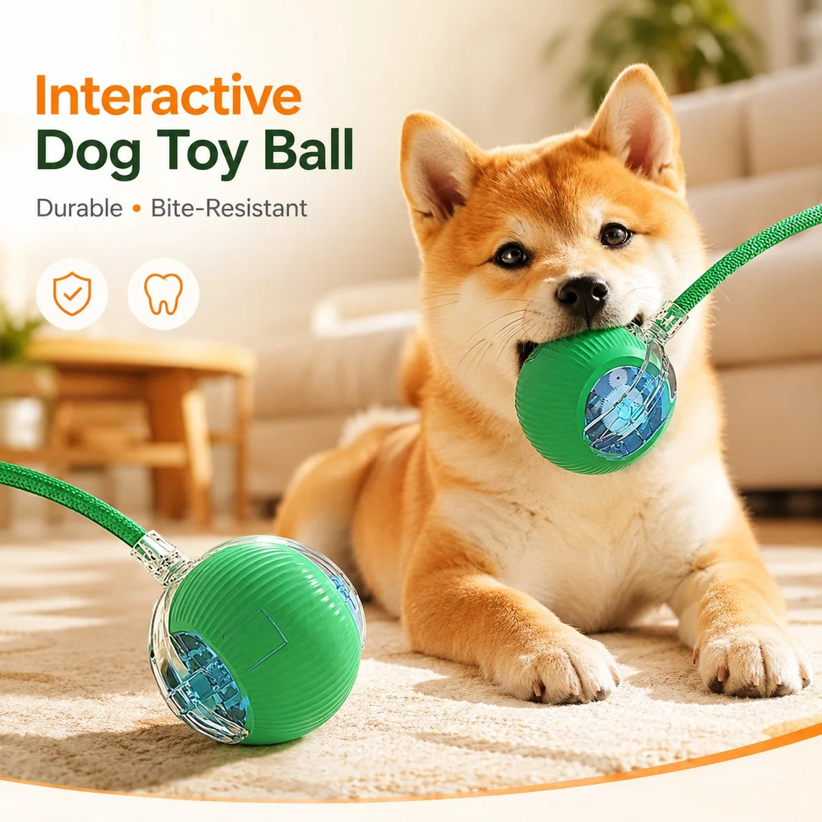 Automatic Rolling Dog Ball Rechargeable