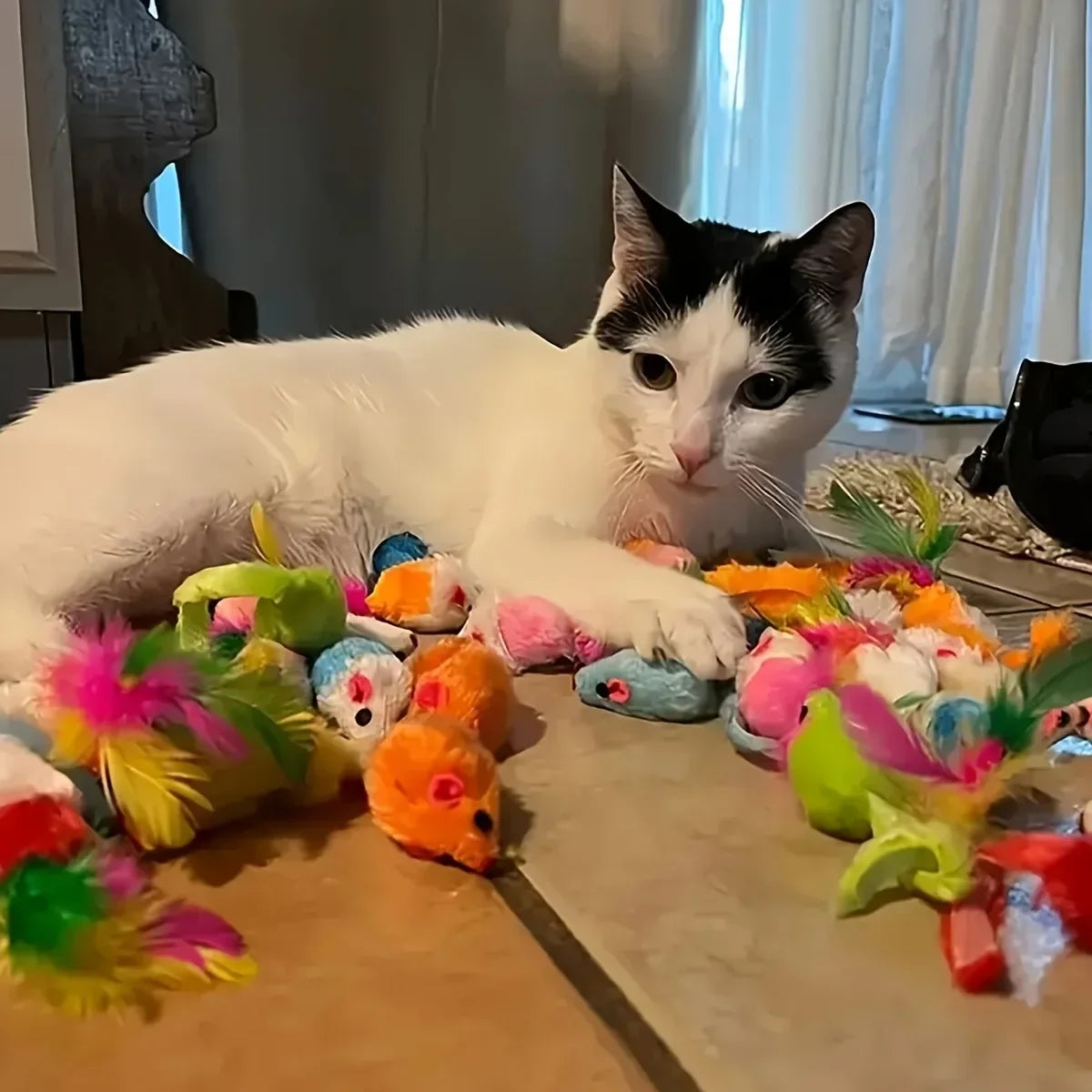 56pcs/28pcs/14pcs Cat Toys Mixed Pack