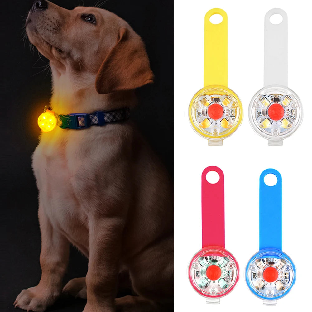 USB Rechargeable LED Light Dogs Collars