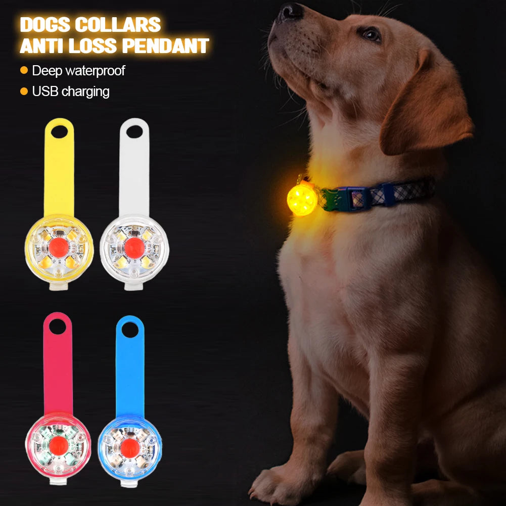 USB Rechargeable LED Light Dogs Collars