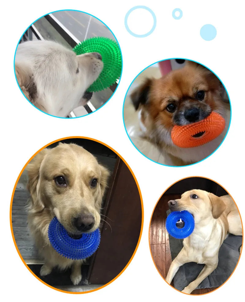 Squeaky Pet Dog Interactive Chew Toy Puppy Bite