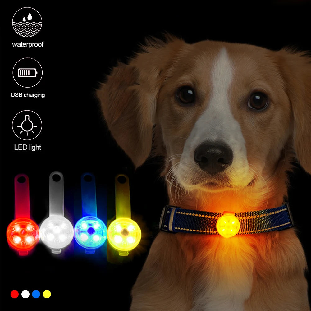 USB Rechargeable LED Light Dogs Collars